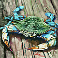 Crabby Blue