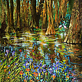 Swamp Iris